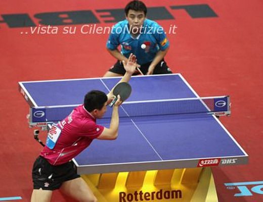 tennistavolo crop 450x500