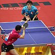 Castellabate Notizie foto - tennistavolo crop 450x500