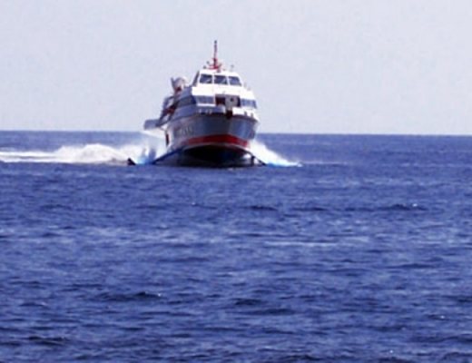 terre d amare trasporti