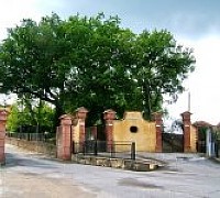 torchiara villa comunale torchiara villa comunale