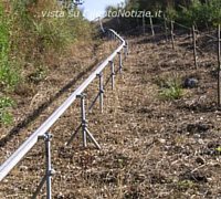 Paolo-Abbate foto - trenino palinuro ambiente