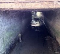 tusciano inquinato 180 135