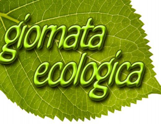 Nicola-Salati foto - una giornata ecologica