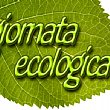 Ambiente foto - una giornata ecologica