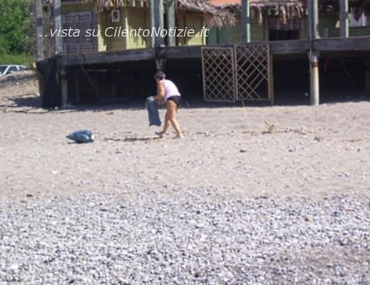 Paolo-Abbate foto - vibonati pulizia spiagge bagnanti