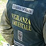 Ambiente foto - vigilanza ambientale