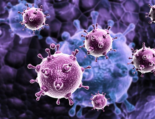 virus epatite virus epatite