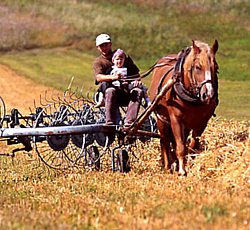 vivere slow contadino