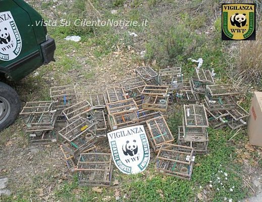 wwf 17042012 uccelli