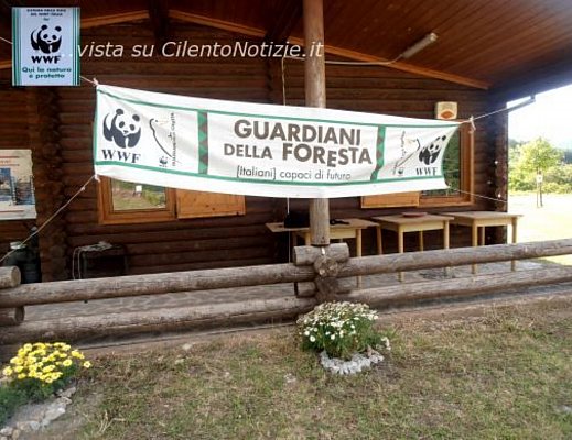 wwf nuova sede salerno