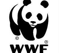 wwf wwf
