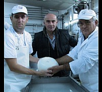 zizzona mozzarella battipaglia